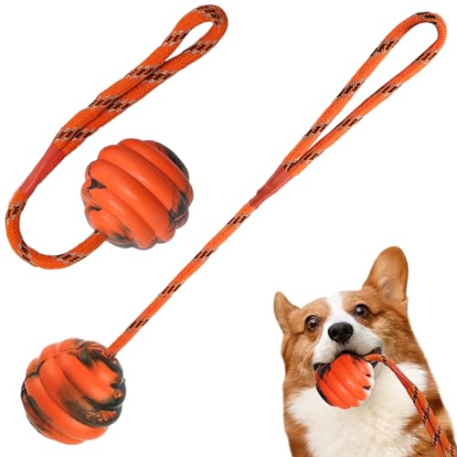 XJKLBYQ Hundeball, 2pcs Hundeschneidspielzeug, quietschende Hundefußballkugel am Seil, Schlepper von Kriegsspielzeug, Hundeplüschspielzeug für kleine mittelgroße Hunde12x2.4 von XJKLBYQ