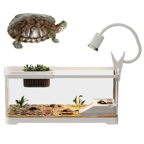 XJKLBYQ Schildkrötenpanzer, klares Plastik -Lebensraum -Kit mit Kletterplattformen, für Schildkröten Wassertiere/15x8x8 Zoll XJKLBYQ Schildkrötenpanzer, klares Plastik -Lebensraum -Kit mit Kletterplattformen, für Schildkröten Wassertiere/15x8x8 Zoll von XJKLBYQ