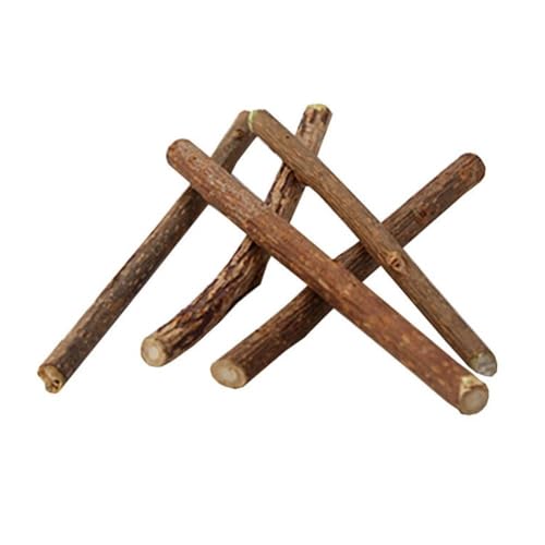 XJPXFQ Katzenminzspielzeug, 15/20 Stück, für Haustiere, Katzen, Kätzchen, Snacks, Kaustab, Zahnreinigung, natürliche Katzenminze, Stäbchen, Katzenminze, Lutscher (20 Stück) von XJPXFQ