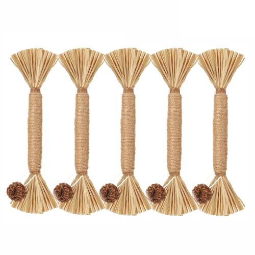 XJPXFQ Natürliche Katzensnacks-Sticks zur Zahnreinigung, Katzenminze, Katzenspielzeug, Actinidia Silvervine, Haustierspielzeug for Katzen, Zubehör(5Pcs) von XJPXFQ