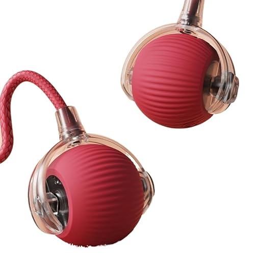 XJPXFQ Smart Cat Toys Automatischer Rollball, falscher Schwanz, wiederaufladbar, interaktives Spielzeug für Hunde und Katzen, Training, Mausschwanz imitieren (3) von XJPXFQ