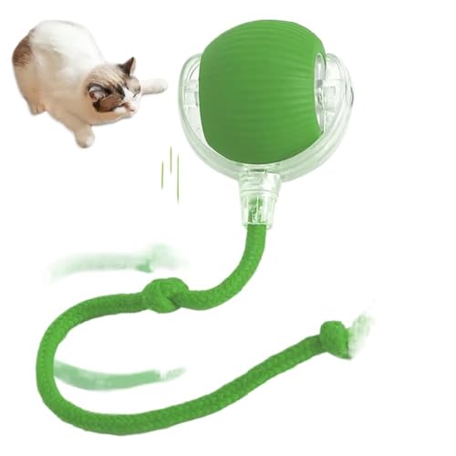 XJPXFQ Smart Interaction Rolling Ball Katzenspielzeug Ball zur Linderung der Langeweile von Hi Cat Stick Kitten Charge Katzenball Katzenzubehör(2) von XJPXFQ