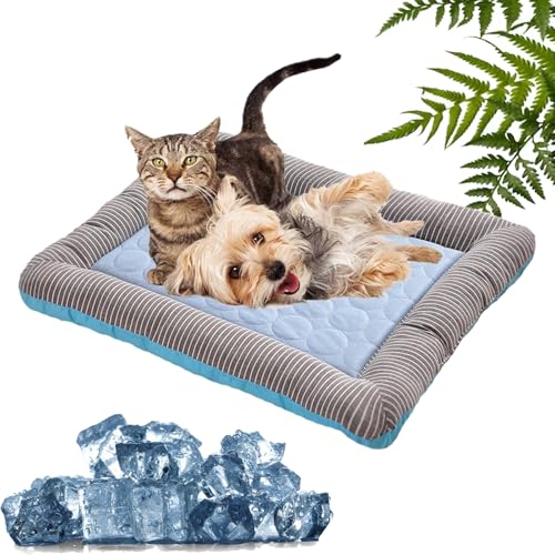 XJQ Holivas Coolcomfort-Premium Kühlmatte, KüHlmatte füR Den Sommer, Haustierbett, Eiszwinger, KüHlkissen, Mat Effektive Erfrischung Bei Hitze (Blau,55 * 45cm) von XJQ