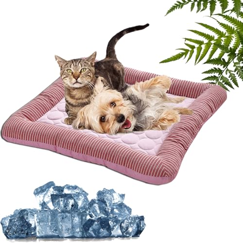 XJQ Holivas Coolcomfort-Premium Kühlmatte, KüHlmatte füR Den Sommer, Haustierbett, Eiszwinger, KüHlkissen, Mat Effektive Erfrischung Bei Hitze (Rosa,55 * 45cm) von XJQ