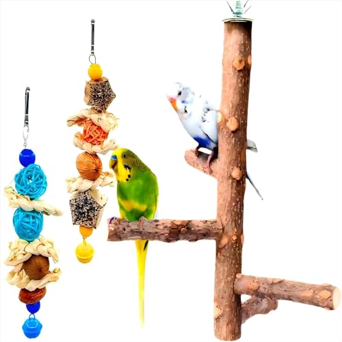 XLpeixin 3 x Papageien-Sitzstangen für Sittiche, natürliches Holz, Vogelsitzstangen, Spielzeug für Nymphensittiche und andere kleine Vögel, Vogelständer für Papageien XLpeixin 3 x Papageien-Sitzstangen für Sittiche, natürliches Holz, Vogelsitzstangen, Spielzeug für Nymphensittiche und andere kleine Vögel, Vogelständer für Papageien von XLpeixin