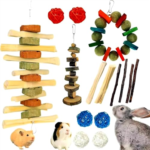 XLpeixin Kaninchen-Kauspielzeug, natürliche Kau-Leckerli-Stäbchen und Bälle für Kaninchen, Chinchilla, Meerschweinchen, Hamster, Hasenkauspielzeug für Zähne von XLpeixin