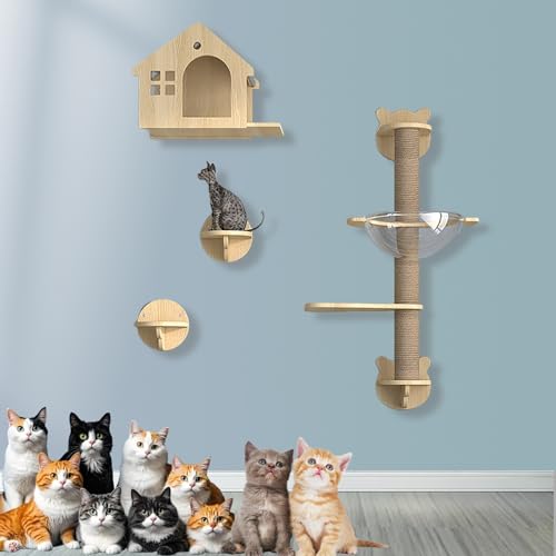 XMLYSMYS Holz-Kletterwand Katzen, An Der Wand Montiertes Katzenmöbel mit Kratzbaum/-brücke, für Kätzchen Zum Spielen(6PCS) von XMLYSMYS