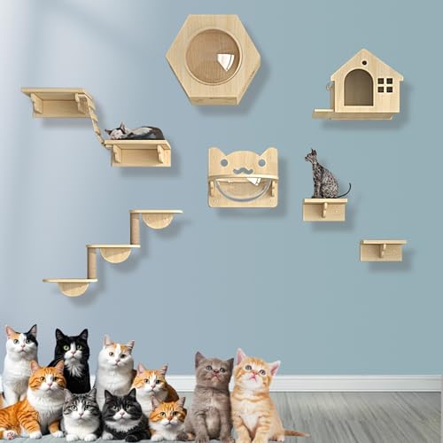 XMLYSMYS Holz-Kletterwand Katzen, An Der Wand Montiertes Katzenmöbel mit Kratzbaum/-brücke, für Kätzchen Zum Spielen(9PCS) von XMLYSMYS