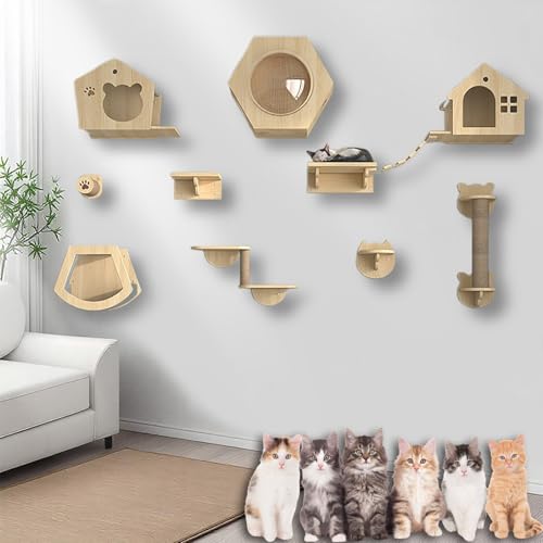 XMLYSMYS Katzentreppe Wand, Katzen Kletterwand Aus Holz Katzenmöbel Innen Wandpark, Platzsparend, für Katzenliebhaber, Zum Klettern, Schlafen, Spielen(10PCS) von XMLYSMYS