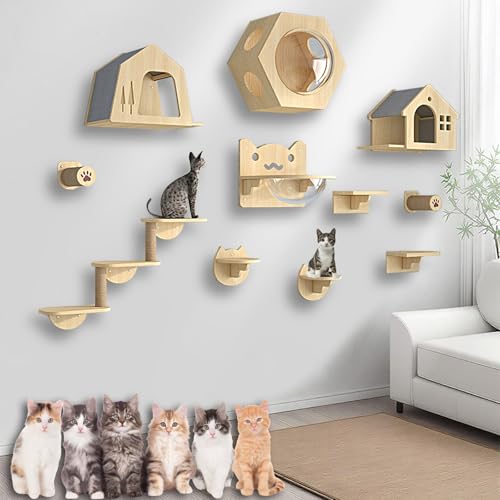 XMLYSMYS Katzentreppe Wand, Katzen Kletterwand Aus Holz Katzenmöbel Innen Wandpark, Platzsparend, für Katzenliebhaber, Zum Klettern, Schlafen, Spielen(11PCS) von XMLYSMYS