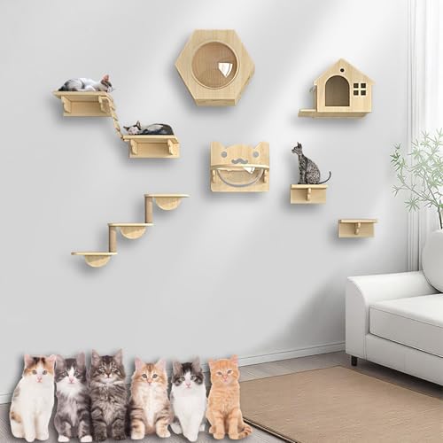 XMLYSMYS Katzentreppe Wand, Katzen Kletterwand Aus Holz Katzenmöbel Innen Wandpark, Platzsparend, für Katzenliebhaber, Zum Klettern, Schlafen, Spielen(9PCS) von XMLYSMYS