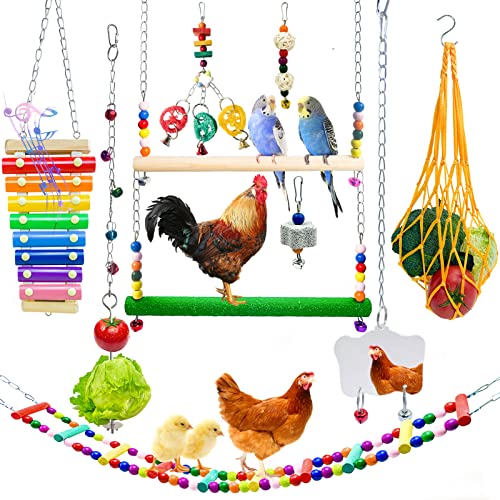 10 x Hühner-Spielzeug für Hühner von XMPEKO