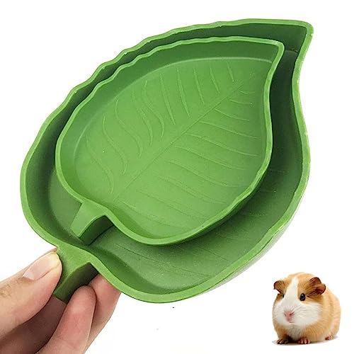 XPEX 2er-Pack Blatt-Futternäpfe, Reptilien-Wassernäpfe, Futternäpfe, Futternäpfe, Flache Trinknäpfe, Wassernäpfe für jeden Reptilien-Futternapf XPEX 2er-Pack Blatt-Futternäpfe, Reptilien-Wassernäpfe, Futternäpfe, Futternäpfe, Flache Trinknäpfe, Wassernäpfe für jeden Reptilien-Futternapf von XPEX