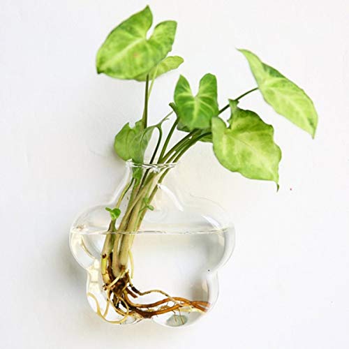 XPIT Wandbehang Glas Blumenvase Terrarium Wand Aquarium Aquarium Container Blumen-Pflanzer Töpfe Home Garten Dekoration (Color : High 13) von XPIT