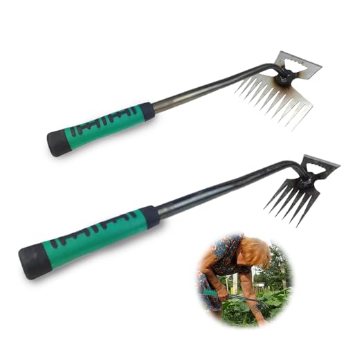 XPJBKC 2 Stück Unkrautstecher Edelstahl, Fugenkratzer Unkraut mit Stiel, Unkraut Entferner Gerät, Hand Unkrautjäter Gartenwerkzeug, Fugenreiniger Unkraut Reinigungsschaufel Garten (6 Zähne+11 Zähne) XPJBKC 2 Stück Unkrautstecher Edelstahl, Fugenkratzer Unkraut mit Stiel, Unkraut Entferner Gerät, Hand Unkrautjäter Gartenwerkzeug, Fugenreiniger Unkraut Reinigungsschaufel Garten (6 Zähne+11 Zähne) von XPJBKC