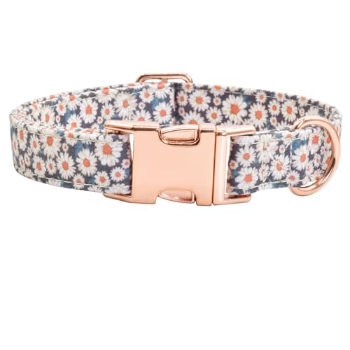 Hundehalsband aus Baumwolle, Metallschnalle, Gänseblümchen, Sommer, niedlich, verstellbar, weich, für kleine, mittelgroße und große Jungen, Mädchen, Hunde, langlebig (01-Gänseblümchen, M (33–45,7 cm) Hundehalsband aus Baumwolle, Metallschnalle, Gänseblümchen, Sommer, niedlich, verstellbar, weich, für kleine, mittelgroße und große Jungen, Mädchen, Hunde, langlebig (01-Gänseblümchen, M (33–45,7 cm) von XPangle