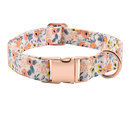 Hundehalsband mit Metallschnalle, langlebig, verstellbar, weich für kleine, mittelgroße und große Hunde Hundehalsband mit Metallschnalle, langlebig, verstellbar, weich für kleine, mittelgroße und große Hunde von XPangle