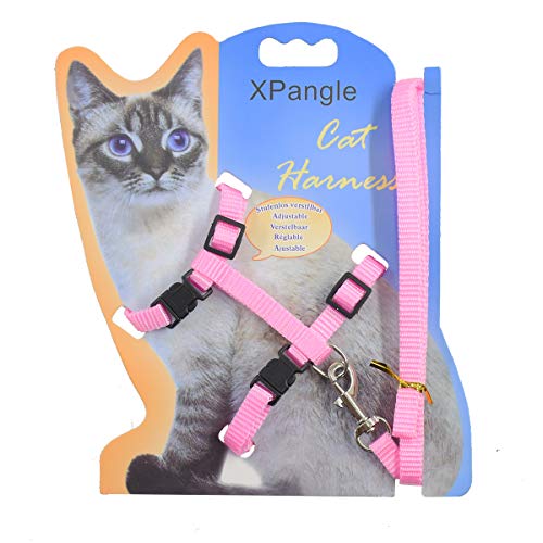 XPangle Katzengeschirr und Leine, verstellbar, Nylon, Halfter für Kätzchen, Nylongurt, Sicherheitsleine (Pink) von XPangle