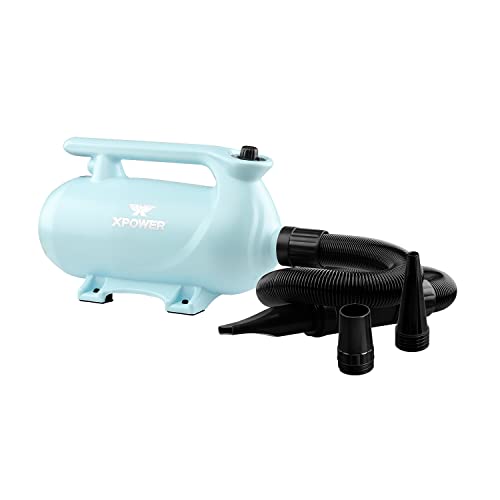 XPOWER Portable Pet Dryer 2-heat Settings Noise Reduction Three Different Nozzles Pet Drying (B-163, Blau) von XPower