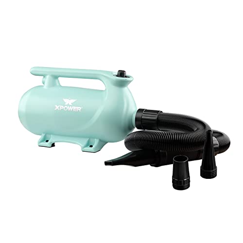 XPOWER Portable Pet Dryer 2-heat Settings Noise Reduction Three Different Nozzles Pet Drying (B-163, Grün) von XPower
