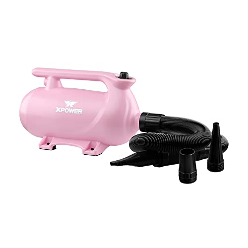 XPOWER Portable Pet Dryer 2-heat Settings Noise Reduction Three Different Nozzles Pet Drying (B-163, Rosa) von XPower