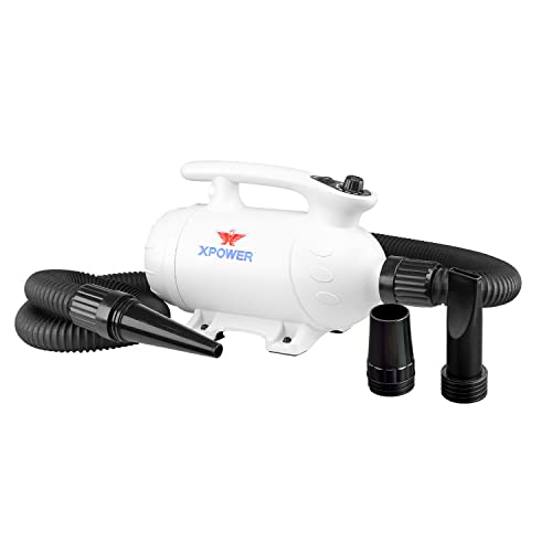 XPower B-24 Force Pet Dryer Dog Grooming with Variable Speed and 2-Heat Settings with 3 Nozzles von XPower