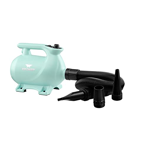 XPower Portable Pet Dryer 2-heat Settings Noise Reduction Three Different Nozzles Pet Drying (Grün, B-123) von XPower