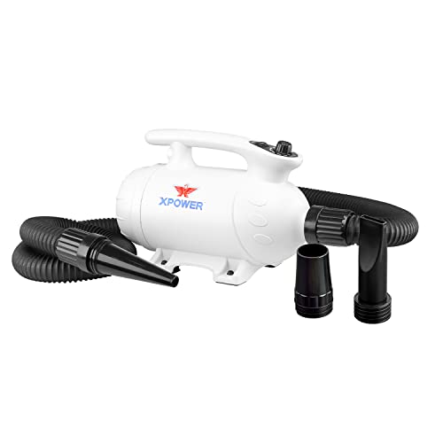 XPower Professional Pet Grooming Force Dryer with Powerful and Quiet Motor, Variable Speed and Extra Heat, Versatile for All Coats and Breeds (Weiß, B-24) von XPower