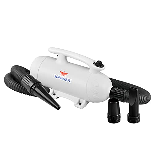 XPower Professional Pet Grooming Force Dryer with Powerful and Quiet Motor, Variable Speed and Extra Heat, Versatile for All Coats and Breeds (Weiß, B-27) von XPower