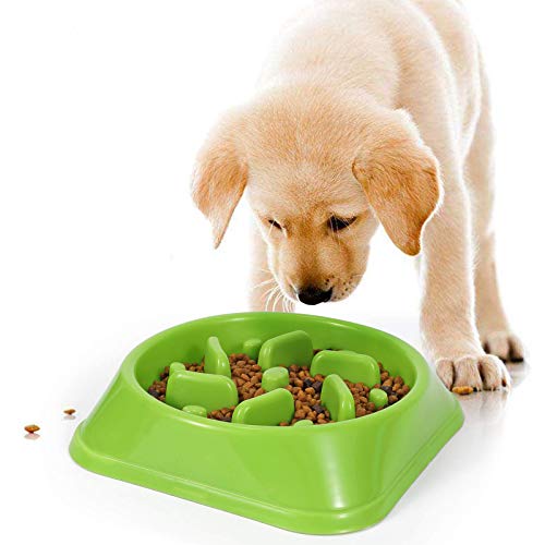 XPUING Hundenapf Slow Feeder,Anti Schling Hundenapf,Hund langsam füttern Schüssel,aus umweltfreundlichen Materialien,verlangsamt die Nahrungsaufnahme,Haustier langsam füttern (Grün) von XPuing