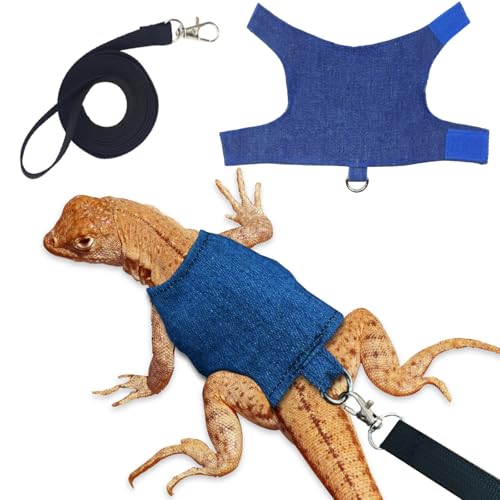 XQIGI Bartdrachen-Geschirr und Leine, verstellbares Geschirr, Eidechsenkleidung, Zugseil, ausbruchsicher, für Reptilien, Amphibien, Kleintiere, Spaziergänge im Freien, Blau, Größe S von XQIGI