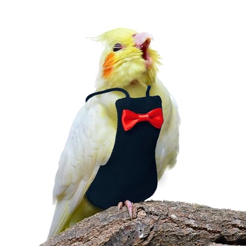 XQIGI Vogelwindel, waschbar, wiederverwendbar, Papageienwindeln, Fluganzug, schützend, atmungsaktiv, Papageienwindel, Kleidung für Sittiche, Aras, Wellensittiche, Kanarienvögel, Nymphensittiche XQIGI Vogelwindel, waschbar, wiederverwendbar, Papageienwindeln, Fluganzug, schützend, atmungsaktiv, Papageienwindel, Kleidung für Sittiche, Aras, Wellensittiche, Kanarienvögel, Nymphensittiche von XQIGI