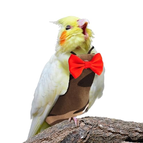 XQIGI Vogelwindel, waschbar, wiederverwendbar, für Papageien, schützend, atmungsaktiv, für Sittiche, Aras, Wellensittiche, Kanarienvögel, Nymphensittiche (Camouflage, klein) XQIGI Vogelwindel, waschbar, wiederverwendbar, für Papageien, schützend, atmungsaktiv, für Sittiche, Aras, Wellensittiche, Kanarienvögel, Nymphensittiche (Camouflage, klein) von XQIGI