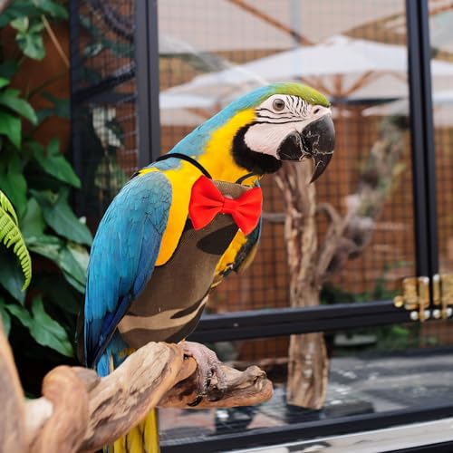 XQIGI Vogelwindel, waschbar, wiederverwendbar, Papageienwindeln, schützend, atmungsaktiv, Papageienwindel, Kleidung für Sittiche, Aras, Wellensittiche, Kanarienvögel, Nymphensittiche (Camouflage, XXL) XQIGI Vogelwindel, waschbar, wiederverwendbar, Papageienwindeln, schützend, atmungsaktiv, Papageienwindel, Kleidung für Sittiche, Aras, Wellensittiche, Kanarienvögel, Nymphensittiche (Camouflage, XXL) von XQIGI
