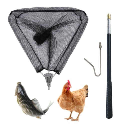 2-in-1 Einziehbar Hühnerfänger Beinhaken und Fangnetz Set, Edelstahl Skalierbarer Hühnerfänger Beinhaken, Hühnchenfangnetz zum Fangen von Fischen, Geflügel von XQZMD