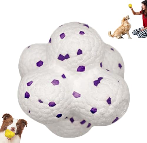 XRXRX Magischer Ball für Hunde, Indoor- und Outdoor-Hundebälle, interaktives Hundespielzeug, elastische Kaubälle für Training und Spielen, interaktive Katzenspielzeugbälle, Hundeball, XRXRX Magischer Ball für Hunde, Indoor- und Outdoor-Hundebälle, interaktives Hundespielzeug, elastische Kaubälle für Training und Spielen, interaktive Katzenspielzeugbälle, Hundeball, von XRXRX
