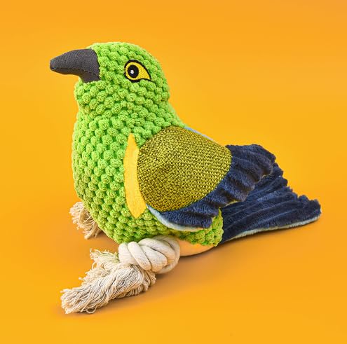 Welpenspielzeug Anti-Biss Beißer Plüschspielzeug Papagei Vogelform Haustierspielzeug für kleine und mittlere Hunde (grün) von XSDY