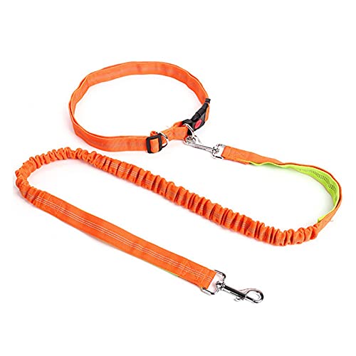 Hundeleine, einziehbare Hundeleine, Haustier-Schlupfseil, Hundeleine, einziehbar mit verstellbarem Taillenseil, Laufen, Joggen, Radfahren, Spazierengehen, Haustierbedarf, Zubehör, Leinen (Farbe: 04) ( von XSXSX