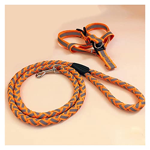 Hundeleine, einziehbare Hundeleine, nachtreflektierend, for große, mittelgroße und kleine Hunde, Teddy, Hundehalsbänder, Brustgurt, Welpenzubehör, französische Bullen (Farbe: 3, Größe: M 4 bis 7,5 kg) Hundeleine, einziehbare Hundeleine, nachtreflektierend, for große, mittelgroße und kleine Hunde, Teddy, Hundehalsbänder, Brustgurt, Welpenzubehör, französische Bullen (Farbe: 3, Größe: M 4 bis 7,5 kg) von XSXSX