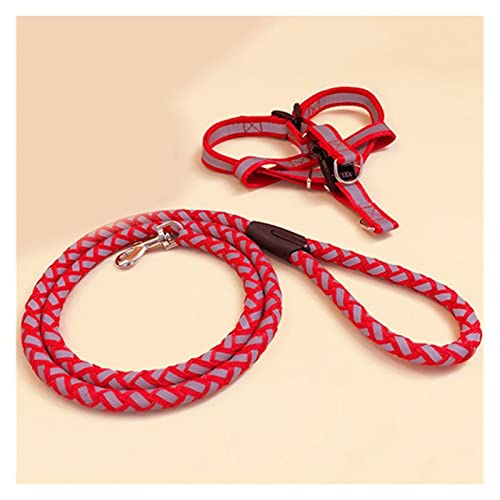 Hundeleine, einziehbare Hundeleine, nachtreflektierend, for große, mittelgroße und kleine Hunde, Teddy, Hundehalsbänder, Brustgurt, Welpenzubehör, französische Bullen (Farbe: 3, Größe: M 4 bis 7,5 kg) Hundeleine, einziehbare Hundeleine, nachtreflektierend, for große, mittelgroße und kleine Hunde, Teddy, Hundehalsbänder, Brustgurt, Welpenzubehör, französische Bullen (Farbe: 3, Größe: M 4 bis 7,5 kg) von XSXSX