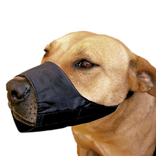 XT-DOG DB931 Halfter aus Nylon verstellbar für Rassen Terrier, Pudel von XT-DOG