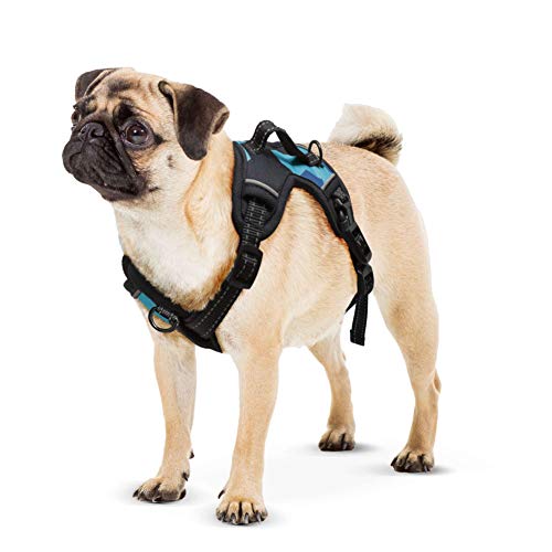 XT-Dog Arnes Camo 2Walk L Blau von XT-DOG