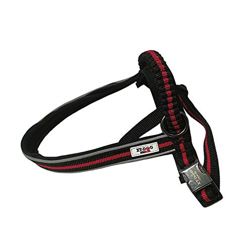 XT-Dog Arnes Next M von XT-DOG