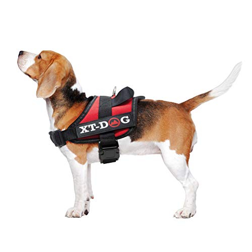 XT-Dog Sicherheits-Arnes L Rot von XT-DOG