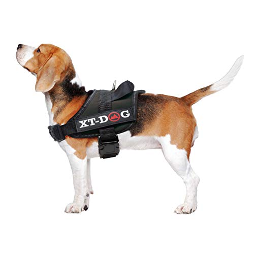 XT-Dog Sicherheits-Arnes XL, Schwarz von XT-DOG