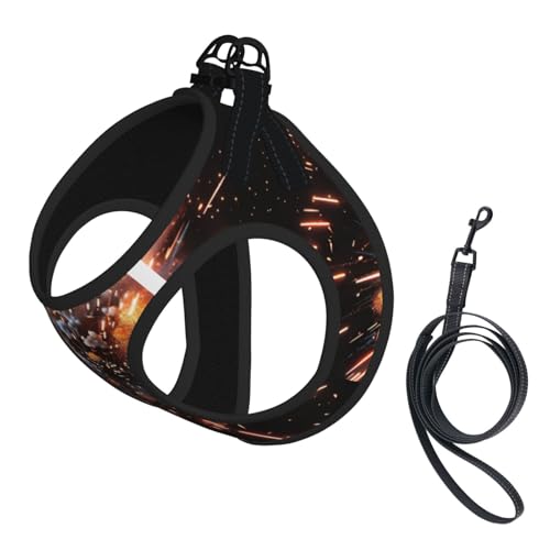 Explosion Firework Hundegeschirr mit 3D-Druck, reflektierend, Haustierweste, Welpengeschirr, Leine-Set, für Spaziergangstraining von XTYGETY
