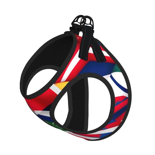 Hundegeschirr mit Costa-Rica-Flagge, reflektierend, Haustierweste, Welpengeschirr, Leine-Set, für Spaziergangstraining von XTYGETY