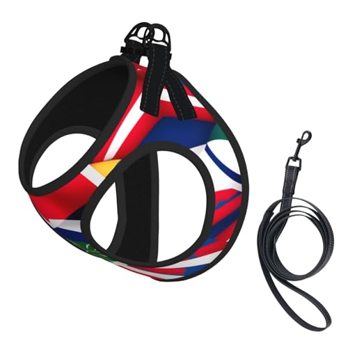 Hundegeschirr mit Costa-Rica-Flagge, reflektierend, Haustierweste, Welpengeschirr, Leine-Set, für Spaziergangstraining von XTYGETY