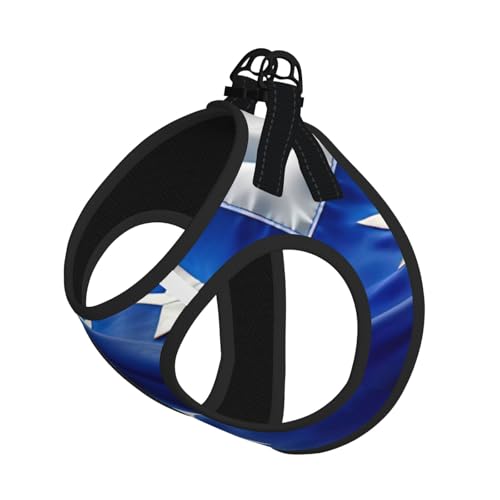 Hundegeschirr mit Honduras-Flagge, reflektierend, für Spaziergänge, Training, Blau von XTYGETY