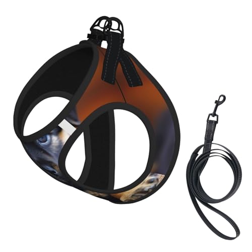 Hundegeschirr mit Hunde-Aufdruck, reflektierend, Haustierweste, Welpengeschirr, Leine-Set, für Spaziergangstraining von XTYGETY